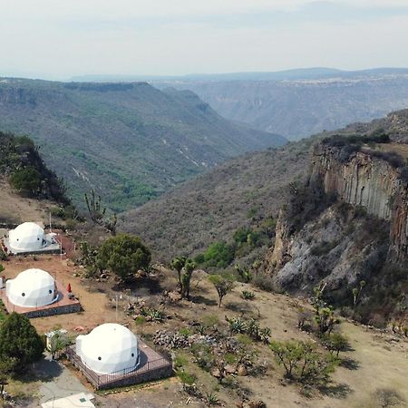El Gato Glamping con vista a prismas basálticos Huasca de Ocampo Exterior foto