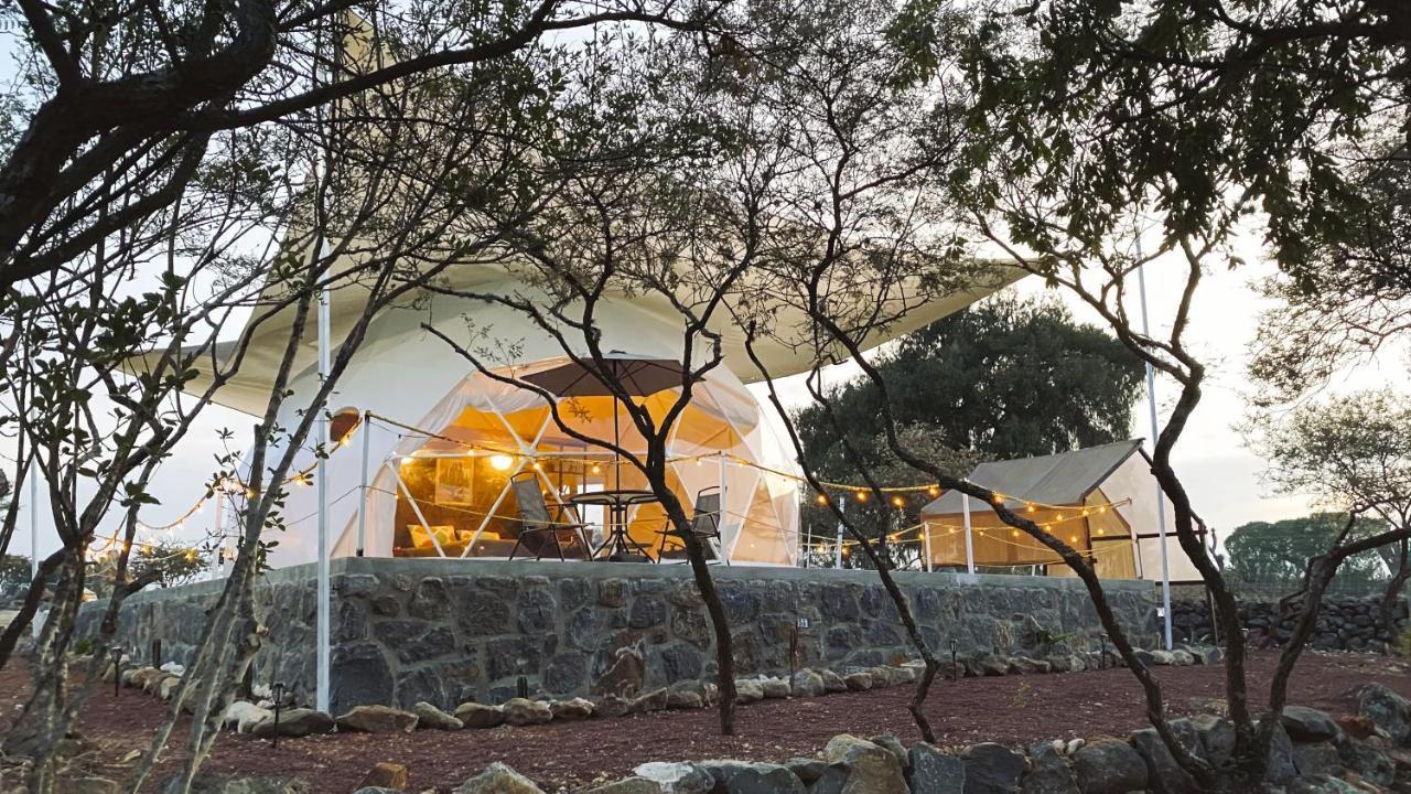 El Gato Glamping con vista a prismas basálticos Huasca de Ocampo Exterior foto