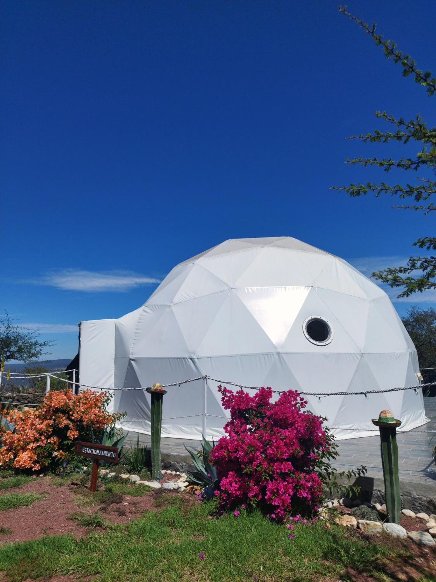 El Gato Glamping con vista a prismas basálticos Huasca de Ocampo Exterior foto