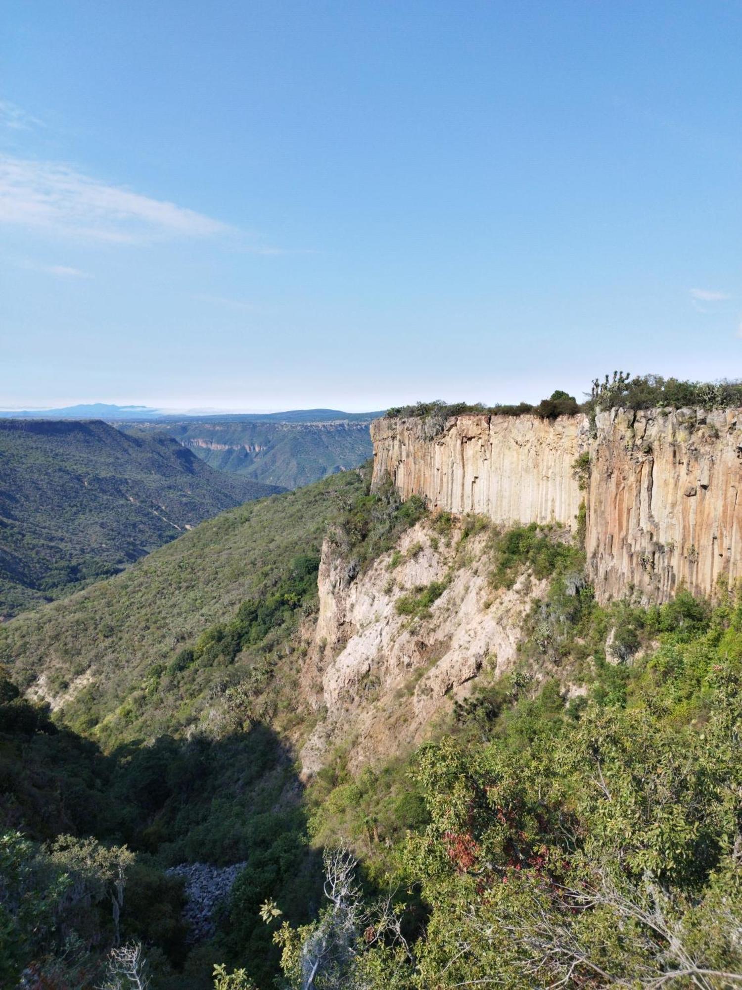 El Gato Glamping con vista a prismas basálticos Huasca de Ocampo Exterior foto