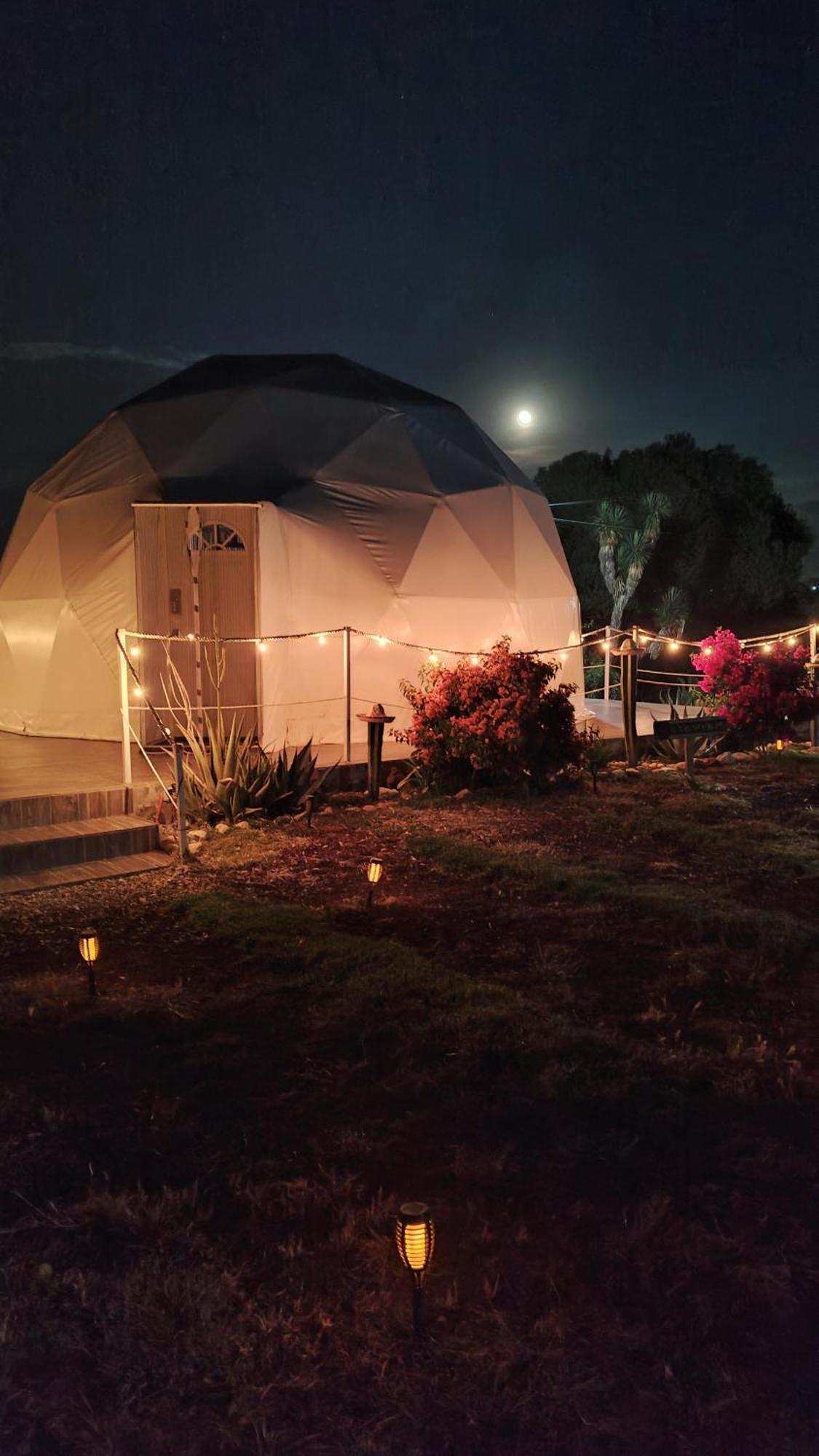 El Gato Glamping con vista a prismas basálticos Huasca de Ocampo Exterior foto