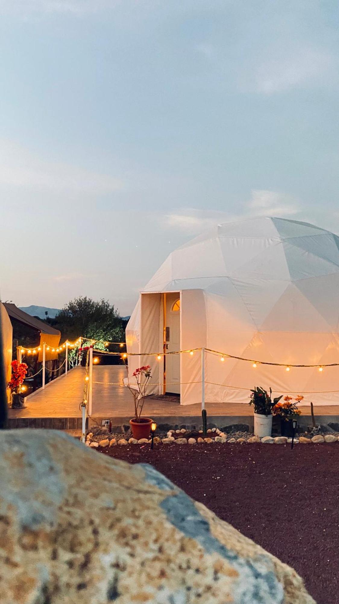 El Gato Glamping con vista a prismas basálticos Huasca de Ocampo Exterior foto
