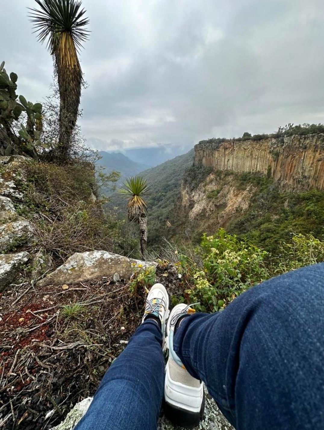 El Gato Glamping con vista a prismas basálticos Huasca de Ocampo Exterior foto