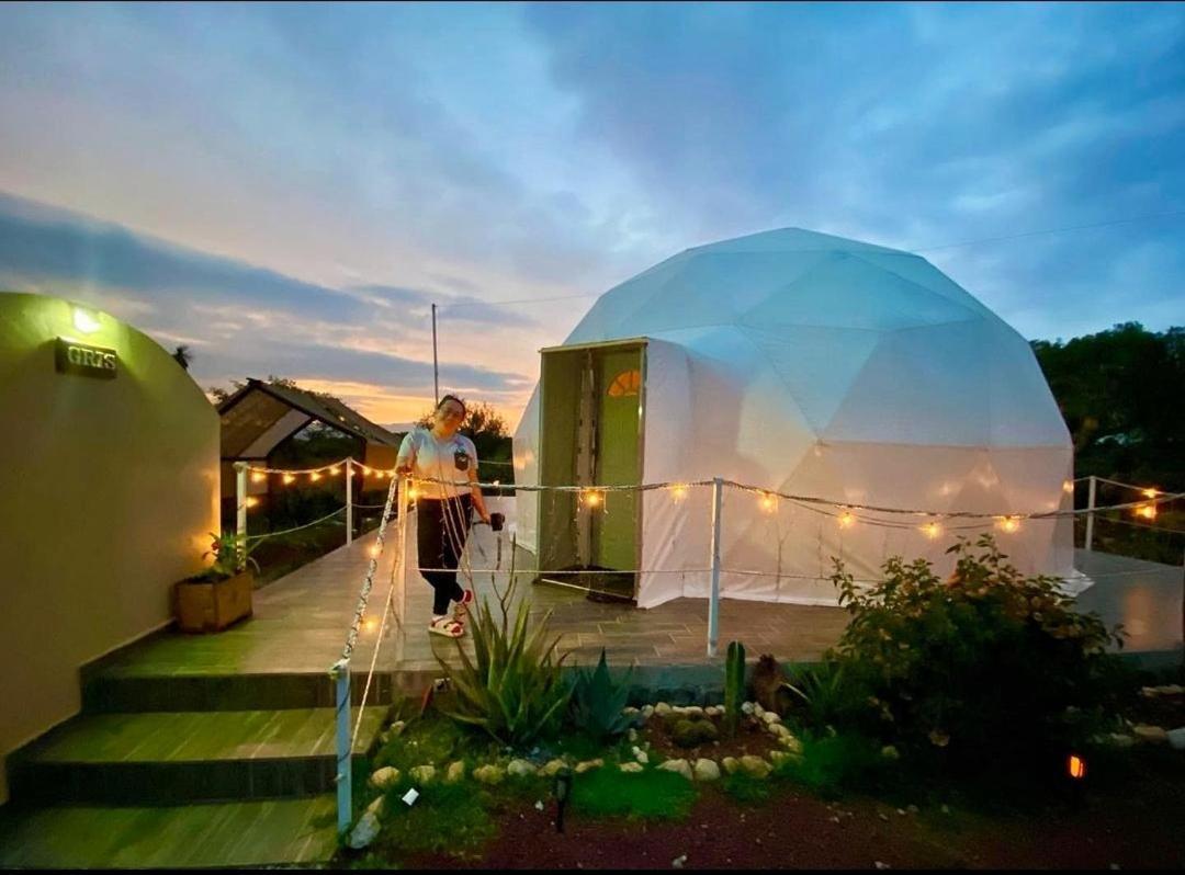 El Gato Glamping con vista a prismas basálticos Huasca de Ocampo Exterior foto