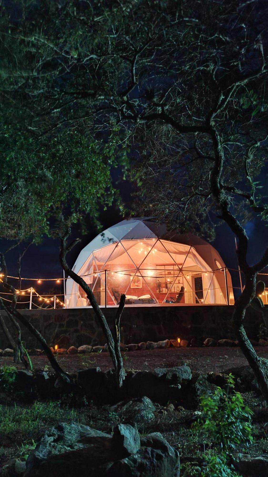 El Gato Glamping con vista a prismas basálticos Huasca de Ocampo Exterior foto