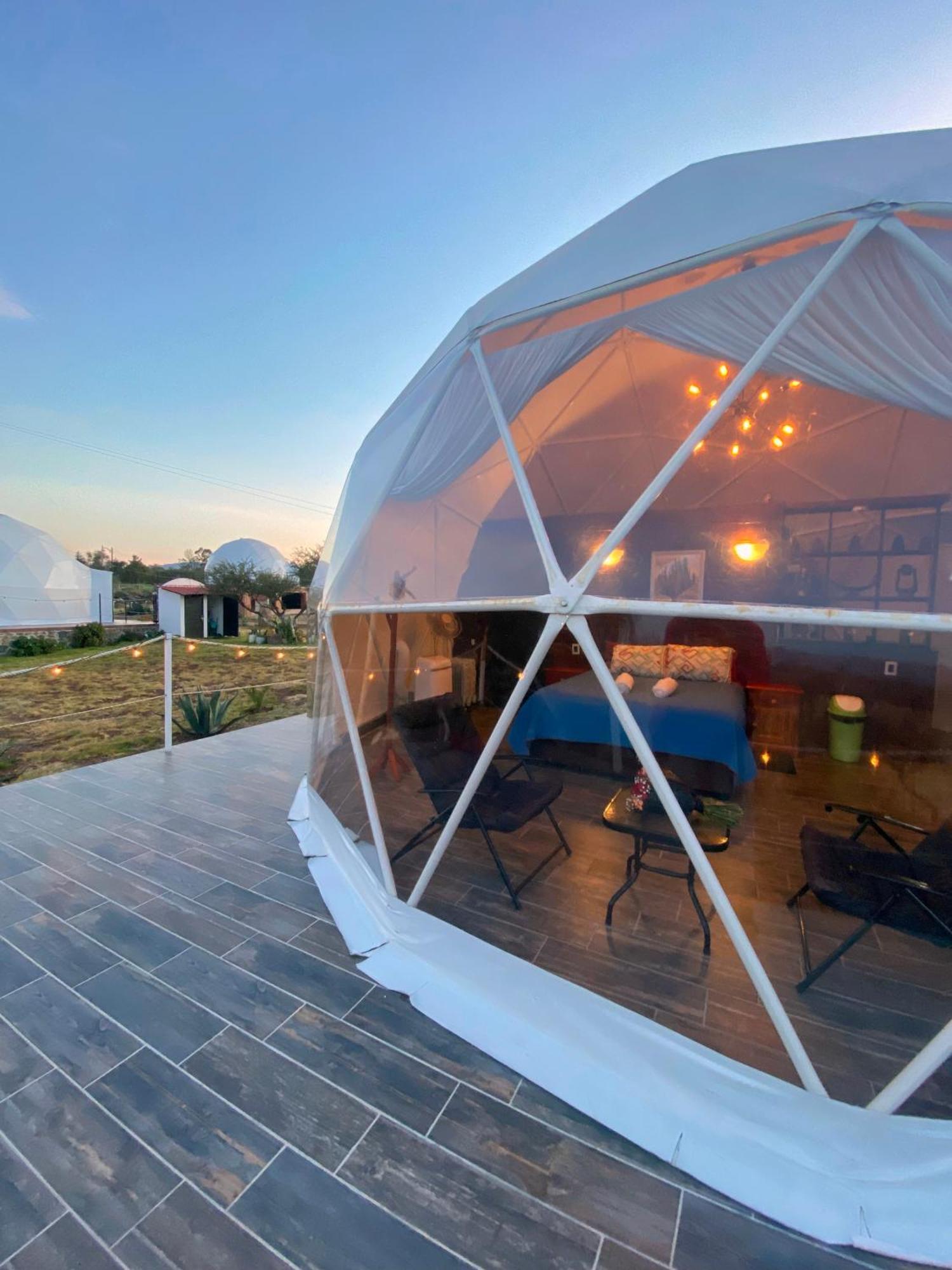 El Gato Glamping con vista a prismas basálticos Huasca de Ocampo Exterior foto