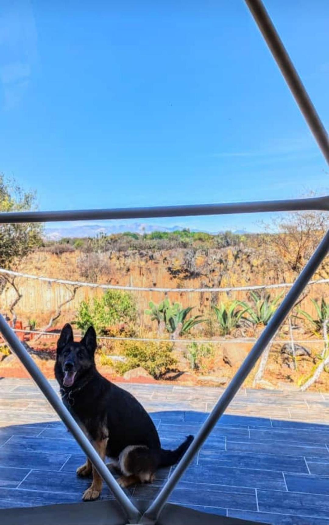 El Gato Glamping con vista a prismas basálticos Huasca de Ocampo Exterior foto