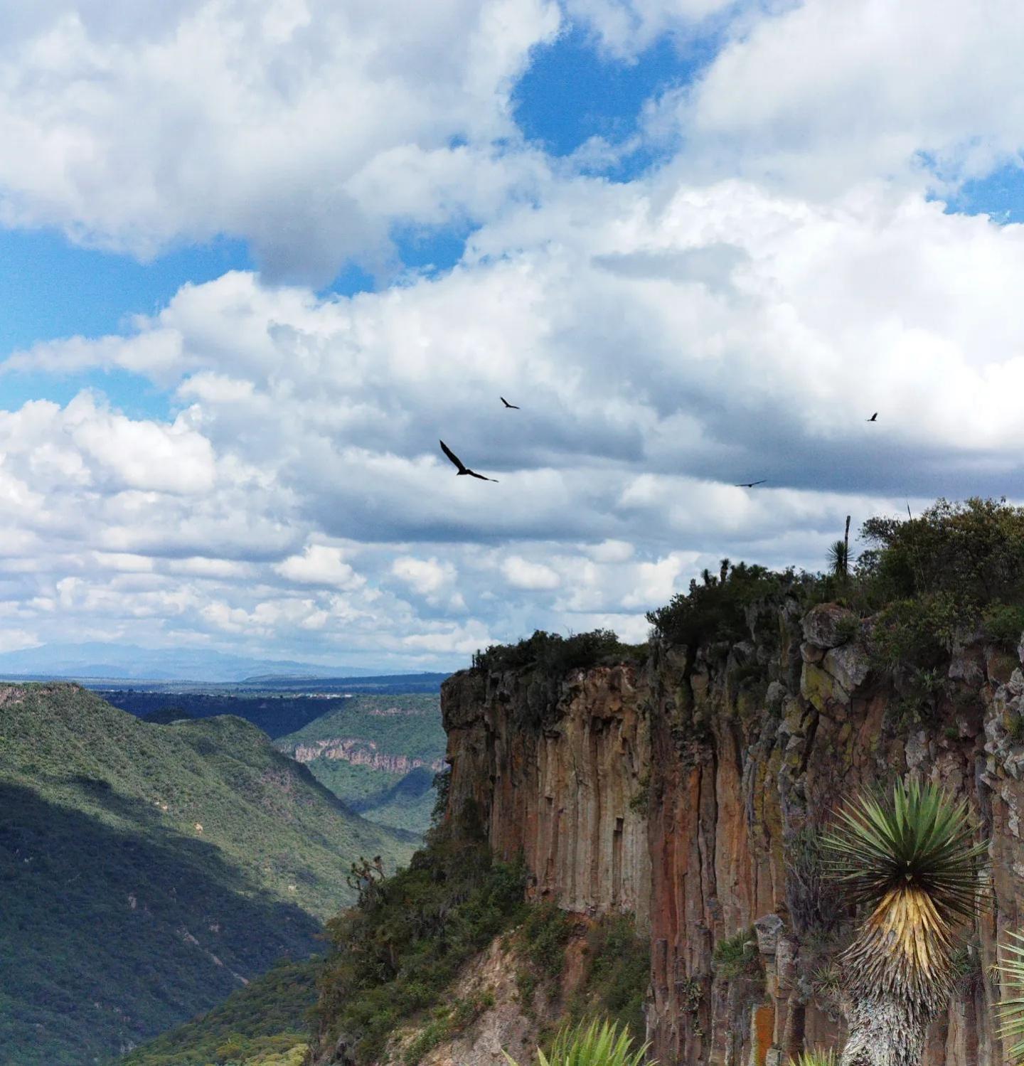 El Gato Glamping con vista a prismas basálticos Huasca de Ocampo Exterior foto