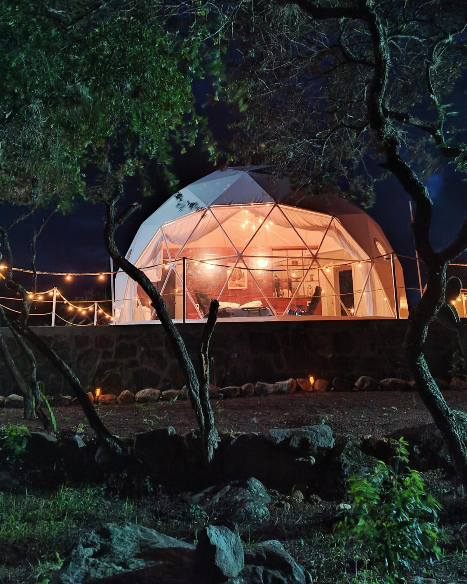 El Gato Glamping con vista a prismas basálticos Huasca de Ocampo Exterior foto